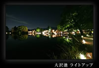 大沢池 ライトアップの写真