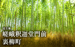 嵯峨釈迦堂門前裏柳町/売土地